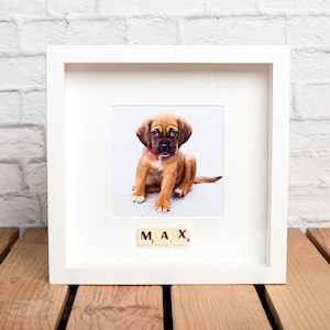 May include: White picture frame with a photo of a brown and white puppy sitting on a white rug. The puppy is wearing a red collar. The word "MAX" is spelled out below the photo using letter tiles.