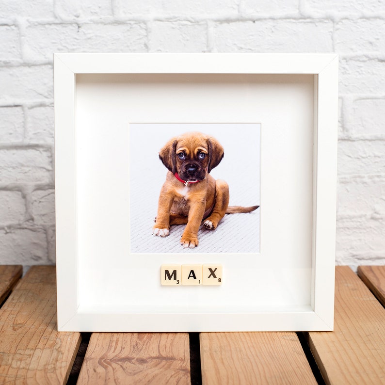 Personalised Pet Photo Frame Your Dog or Cat's Name Etsy UK