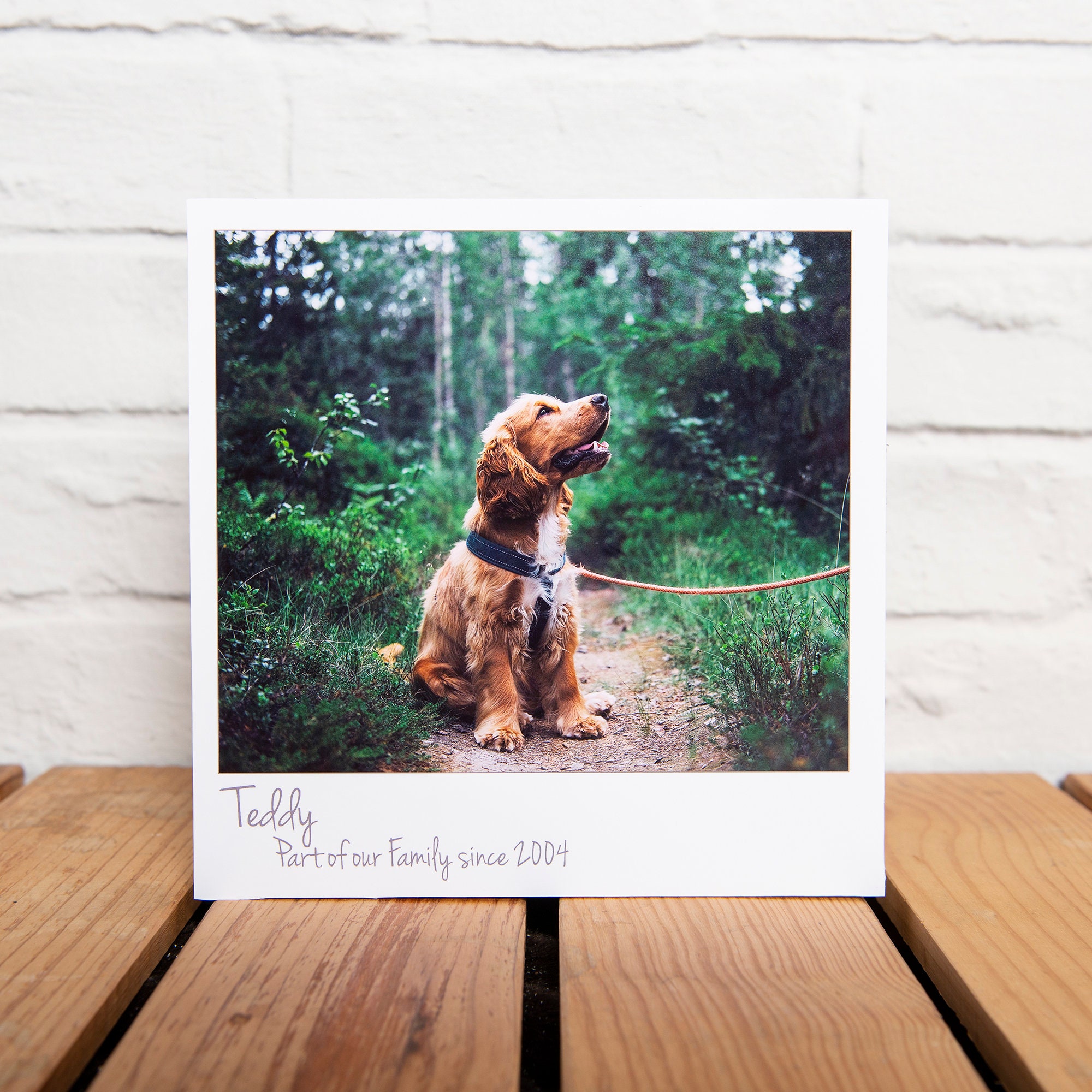 Blocs Photo Pour Animaux de Compagnie - Bloc Chunky Personnalisé avec Votre et Message Rétro, Perte 