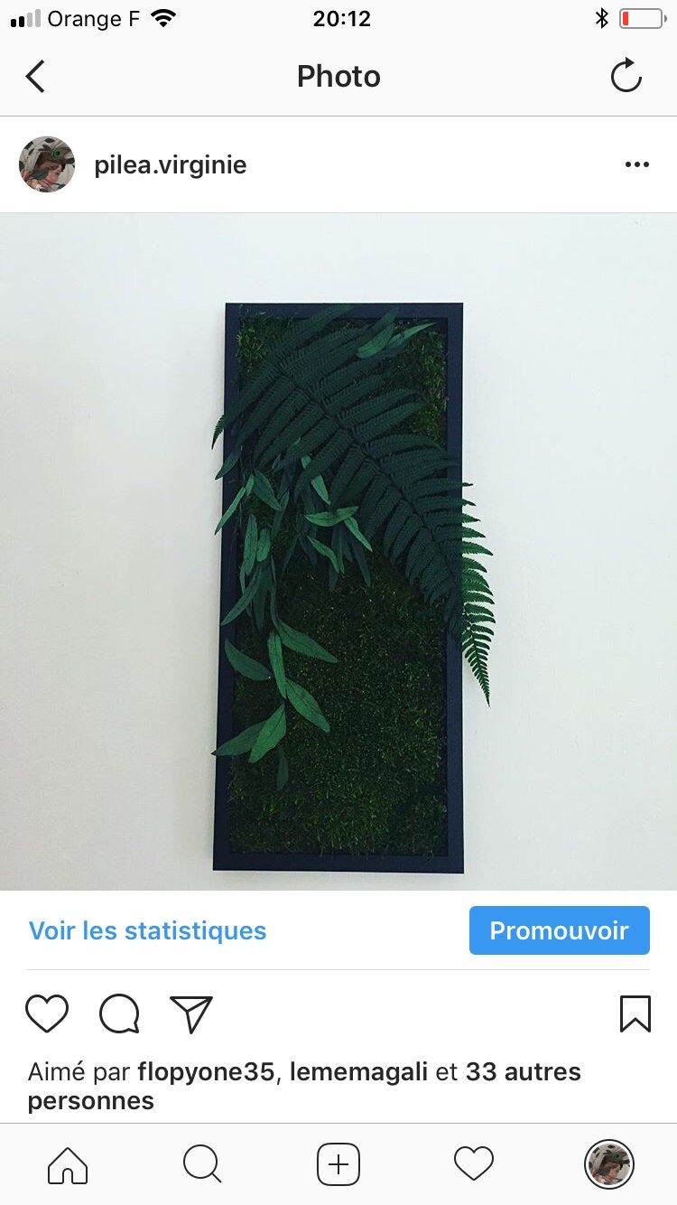 Cadre Végétal Stabilisé