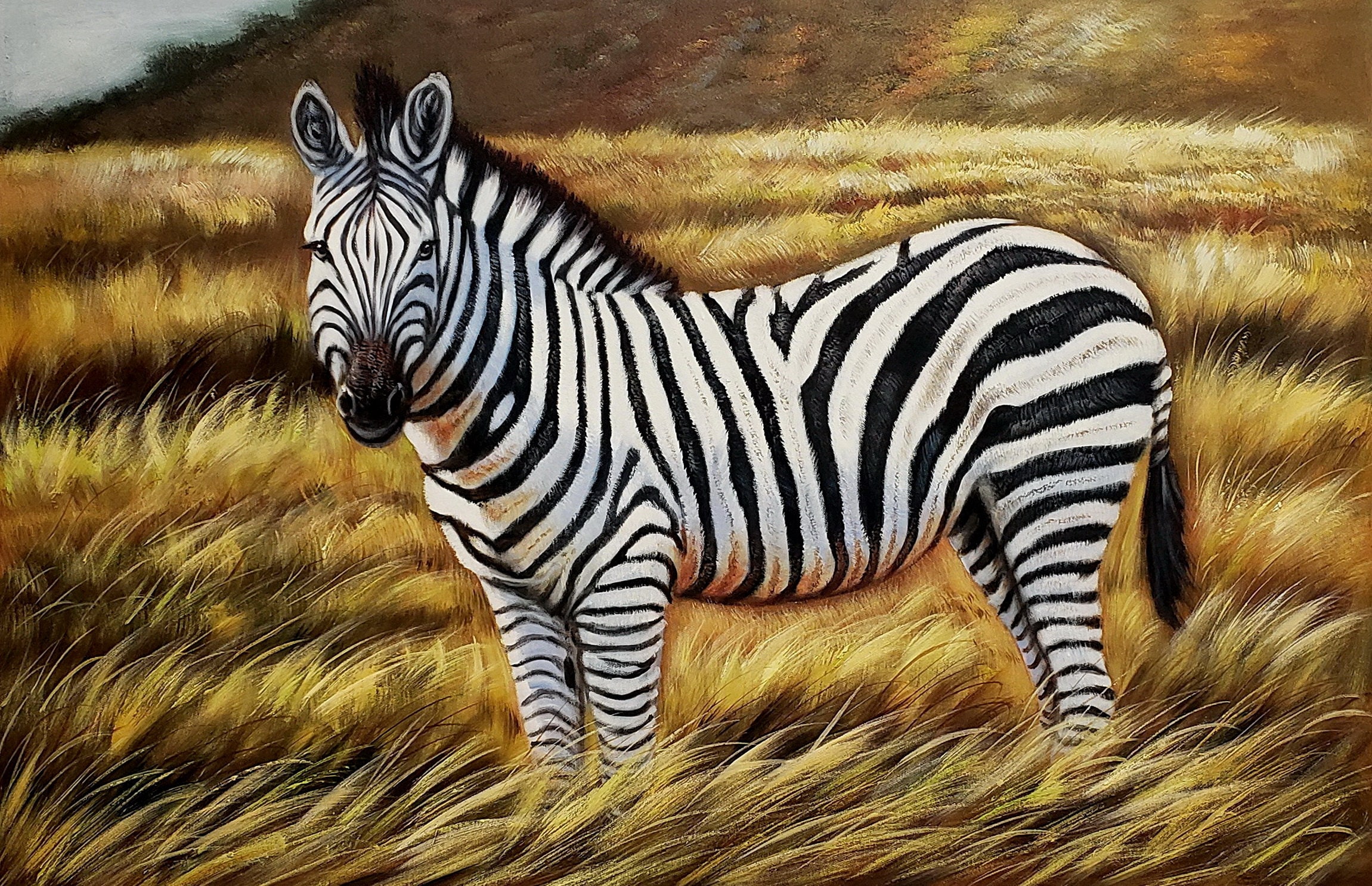 Zebra - #2, 24x36 - 100% Hand Painted Oil Painting on Canvas - Etsy