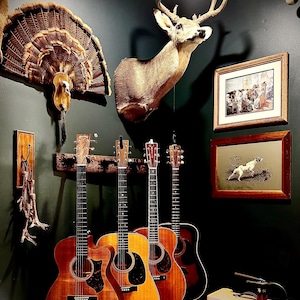 May include: Four acoustic guitars with wooden bodies and dark pickguards are arranged in a row. Above them, a taxidermy deer head and a turkey tail fan are mounted on a dark wall, alongside two framed prints and a small amplifier on the floor.