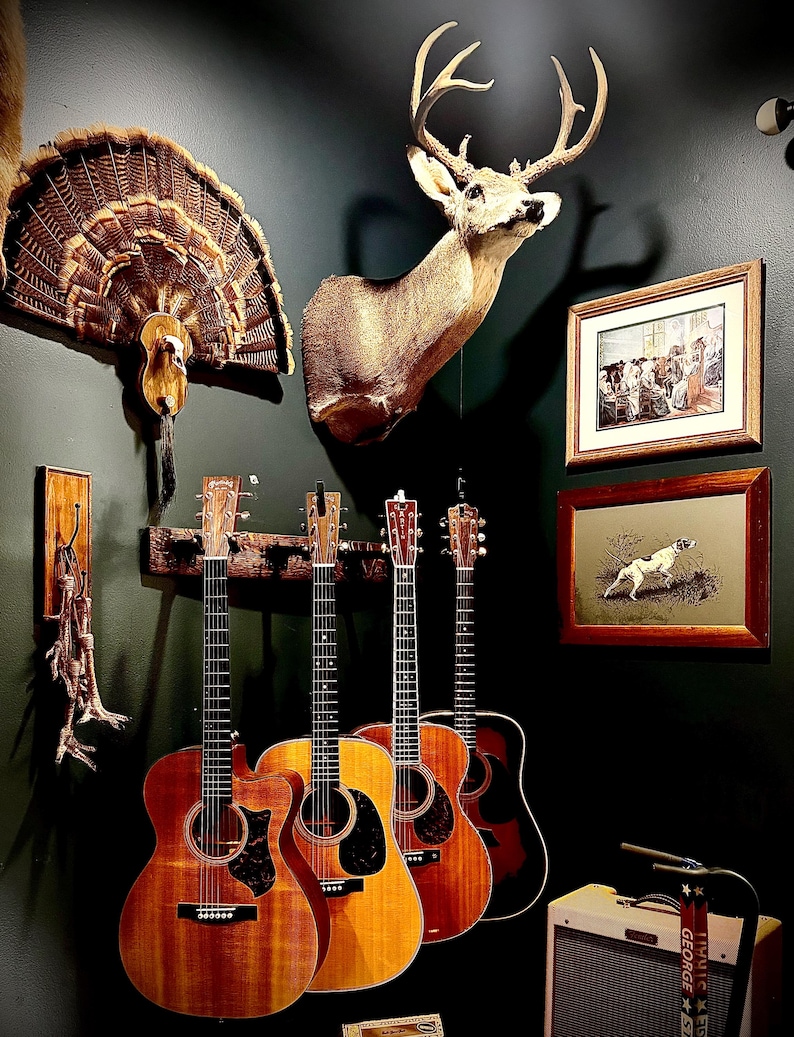 May include: Four acoustic guitars with wooden bodies and dark pickguards are arranged in a row. Above them, a taxidermy deer head and a turkey tail fan are mounted on a dark wall, alongside two framed prints and a small amplifier on the floor.