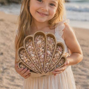 Sea Shell Shadow Box Decor, Beach Treasure Display, Glass, Shells, Shark Teeth, Coastal Gift
