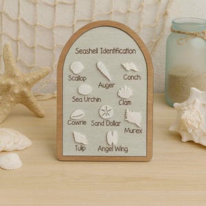 May include: A wooden sign with the text "Seashell Identification" and illustrations of various seashells, including a scallop, conch, and sea urchin. The sign has a light green background and a brown wooden frame.