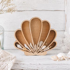 Seashell Shadow Box, Küstenvitrinen für Strandschätze und Haifischzähne