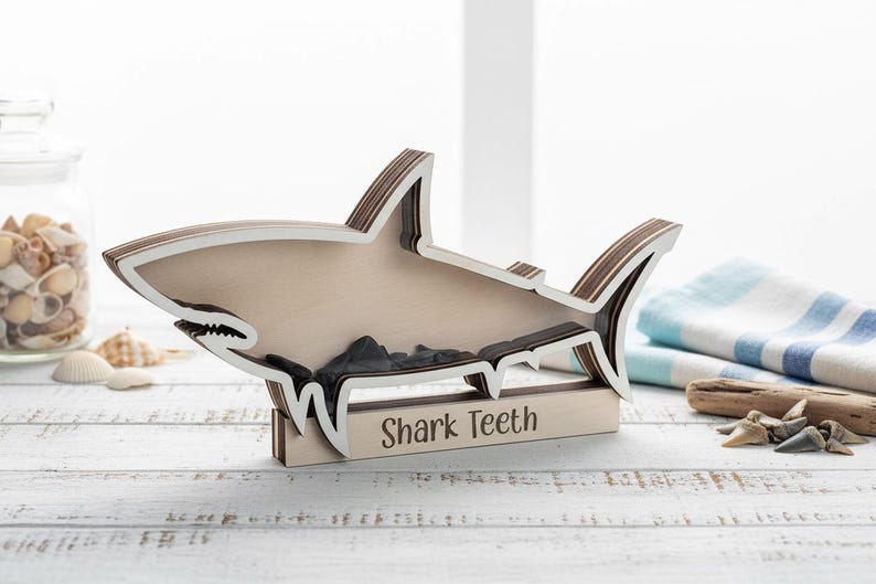 Shark Tooth Shadow Box | Beach Decor, Coastal Home Display, Collectible Teeth Organizer shown in a professional product listing photo