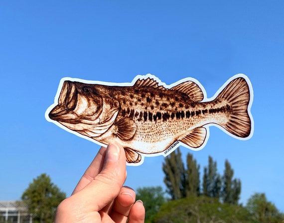 Tarpon Fishing CLEAR Vinyl Decal, Fish Art Print, Yeti Fish Sticker, Fishing  Decor & Accessories, Fly Fishing Gift for Him, Fishing Sticker 