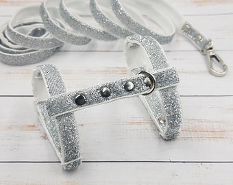 Set med glänsande illersele och koppel. Silverglittrande illersele.