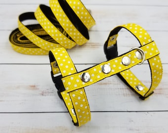 Frettenharnas en riem. Verstelbaar frettenharnas. harnas voor een kitten. Wandelkit voor een klein huisdier