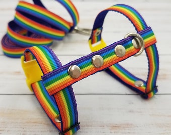 Ferret rainbow leash and harness. Comfortable harness for a small pet.
