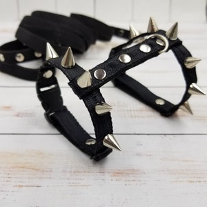 Spiked ferret harness. Brutal black leash and ferret harness with metal spikes.