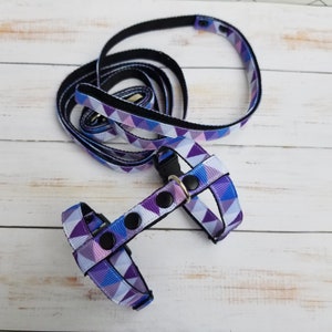 Violet ferret harness and leash set. Triangular series.