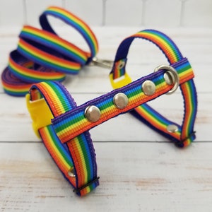Ferret rainbow leash and harness. Comfortable harness for a small pet.
