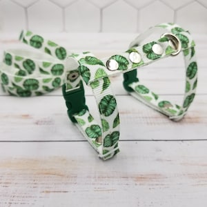 Ferret leash and harness. Harness with a monstera pattern.