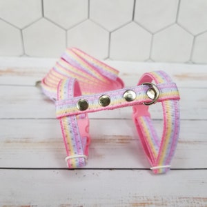 Cute pink gradient ferret harness and leash set. Glitter dots. Unicorn color
