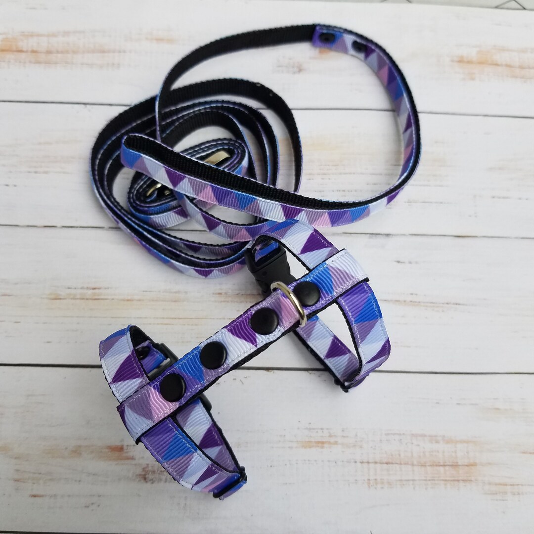 Harnais pour chien en biothane noir - POLUS BOUTIQUE