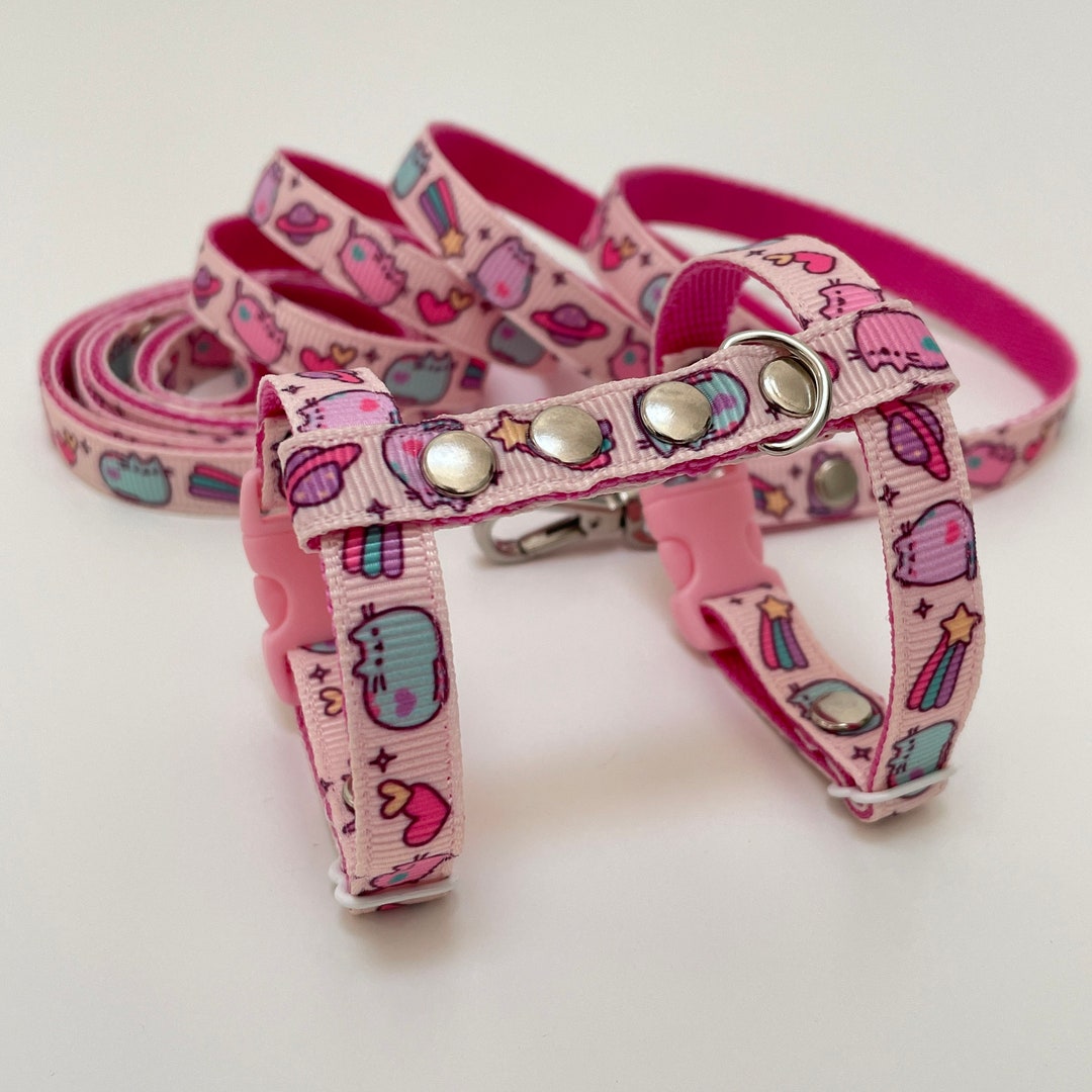 Cute Pink Ferret Harness and Leash. Etsy