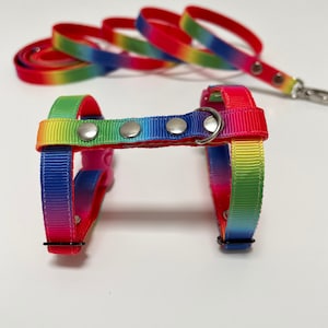 Rainbow harness for ferret with leash. Ferret harness and leash set. Kitten harness, rabbit harness.