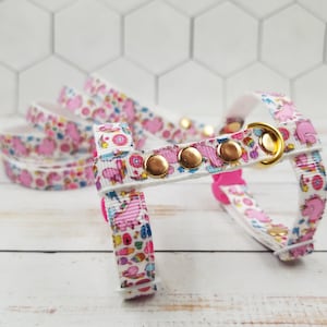 Cute ferret harness and leash set. Unicorn harnes for ferret. Leash for small pet. Kitten harness.