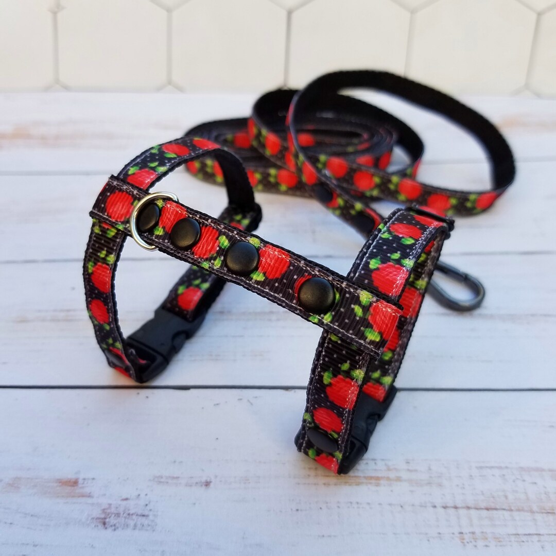 Ferret Harness and Leash Set. Adjustable Harness for Ferret Etsy