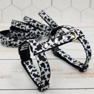 Ferret harness and leash set. Cow print on harness for ferret. Dalmatian print on ferret leash.