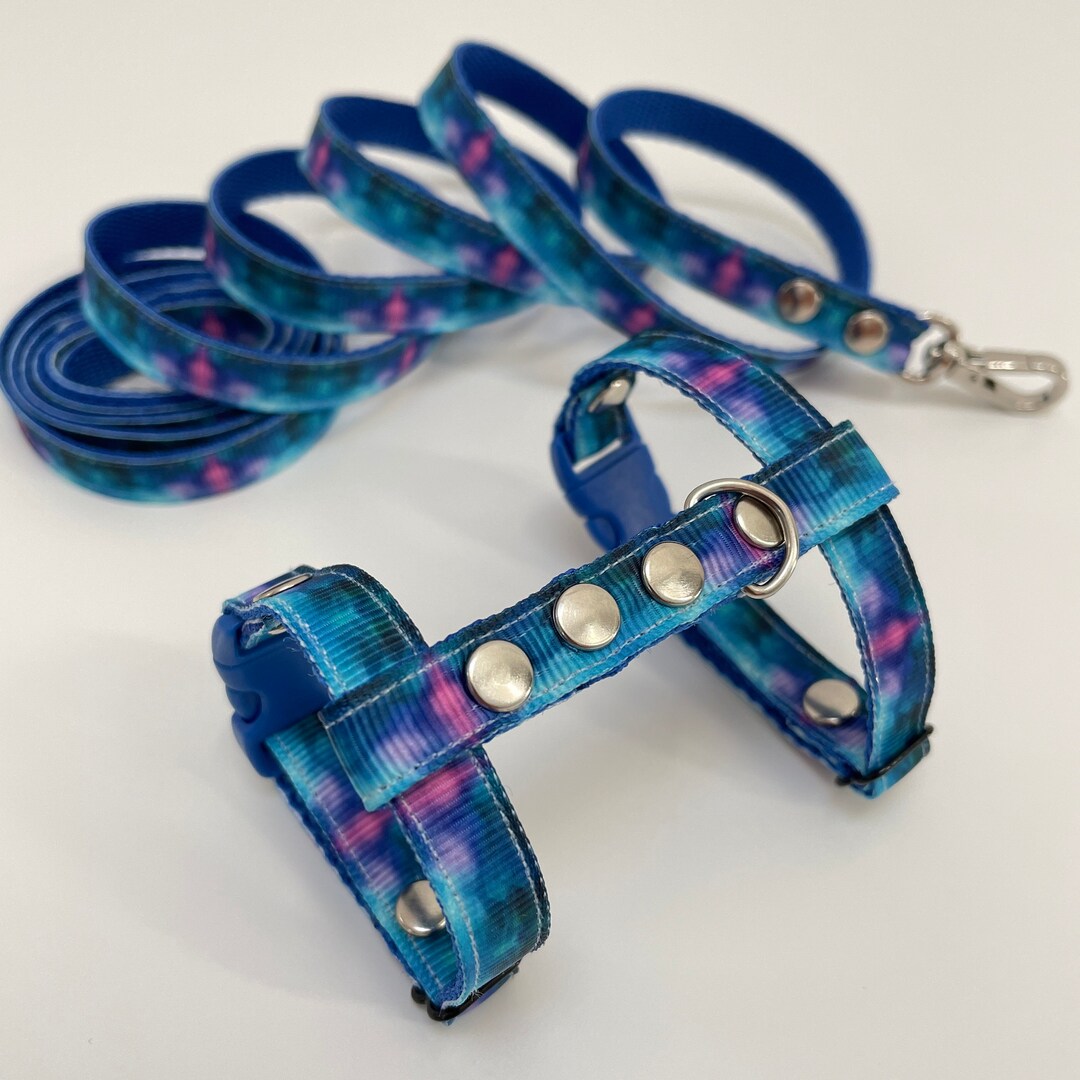 Space Harness for Ferret. Hand Made Ferret Harness and Leash Set