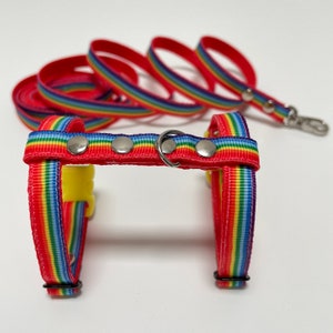 Rainbow harness for ferret with leash. Rainbow ferret, kitten, rabbit. Striped ferret harness and leash.
