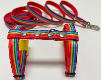 Regenboogharnas voor fret met riem. Regenboogfret, kitten, konijn. Gestreept harnas en riem voor fretten.