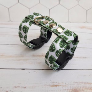 Convenient harness for ferret in H style. Ready  to ship.