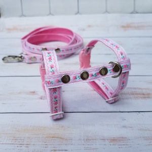 Ferret harness with leash. Adjustable harness. Flower harness with a leash.