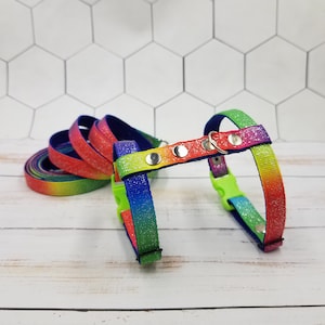 Ferret harness with a leash. Glitter rainbow. Bright and comfortable.