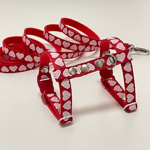 Ferret harness and leash. Hand made harness for ferret with heart print. Harness for rabbit or kitten.