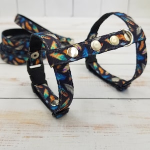 Ferret harness. Adjustable harness with a leash for a small pet, for a kitten. Feather harness.