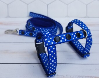 Frettenharnas en leibandset. Blauw harnas voor fret. Harnas voor kitten. Leiband voor fret.