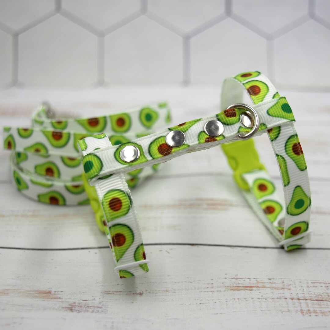 Ferret Harness and Leash Set. Avocado. Manufacturing for a Kitten