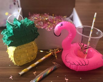 Pineapple Mini Pinata Party in a Box | Sending Sunshine | Flamingo Float | Quarantine Gift | Quarantine Birthday| Gift for Her |Care Package