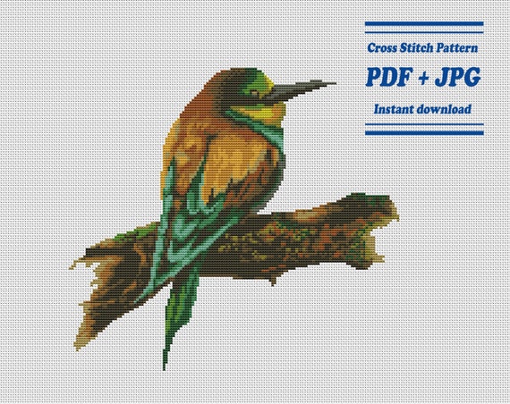 Bird Chart With Name Pdf