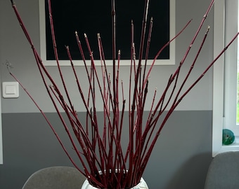 Bouquet de branches de Cornouiller rouge ( saule )