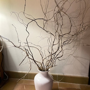 Bouquet de branches de saules tortueux 50/70 cm environ. image 1