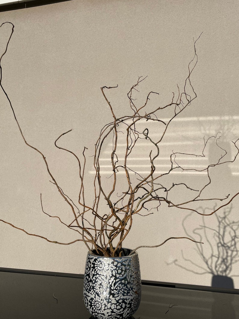 Bouquet de branches de saules tortueux 50/70 cm environ. image 2