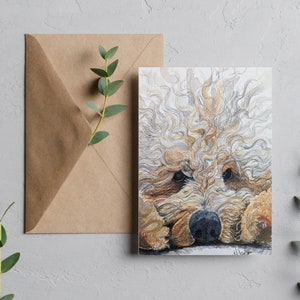 Che succede Bertie, biglietto Labradoodle