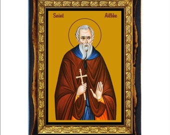 Saint Ailbhe - Ailbe of Emly - Saint Ailbe of Emly - Saint Elvis - Albeo di Emly - Santo Albeo - Albeo de Emly - Ailbe - Albeus van Emly