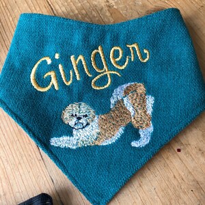 May include: A teal blue bandana with the name "Ginger" embroidered in gold thread. A white and brown dog is also embroidered on the bandana.