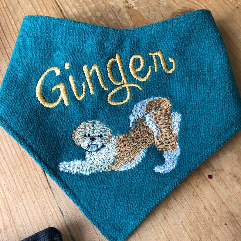 May include: A teal blue bandana with the name "Ginger" embroidered in gold thread. A white and brown dog is also embroidered on the bandana.