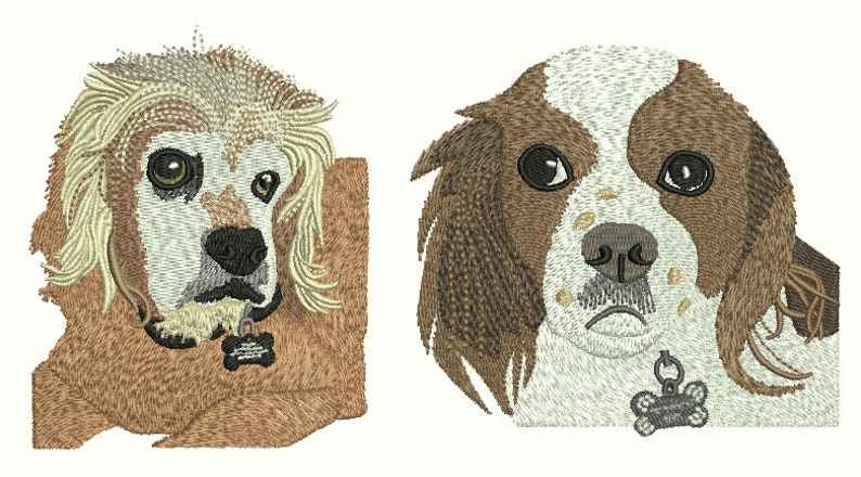 K&ouml;nnte beinhalten: Gestickte Portr&auml;ts von zwei Hunden. Ein Hund hat hellbraunes Fell mit wei&szlig;em Gesicht und einem Hundehalsband. Der andere Hund hat braunes und wei&szlig;es Fell mit einem Hundehalsband. Beide Hunde haben detaillierte Gesichtsz&uuml;ge.