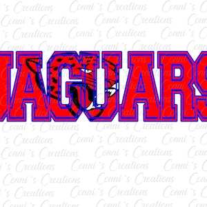 Wayne Academy Jaguars Digital Sublimation Design  - png