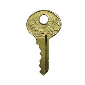 May include: A brass-colored key with a lion emblem and the word "Master" engraved on the head. The key has a circular hole and a jagged edge for the lock mechanism. The key is set against a white background.