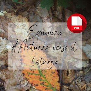 Równonoc jesienna: w stronę hibernacji – obrzędy, tradycje i symbole | magia, czary, pogaństwo, wicca, koło roku