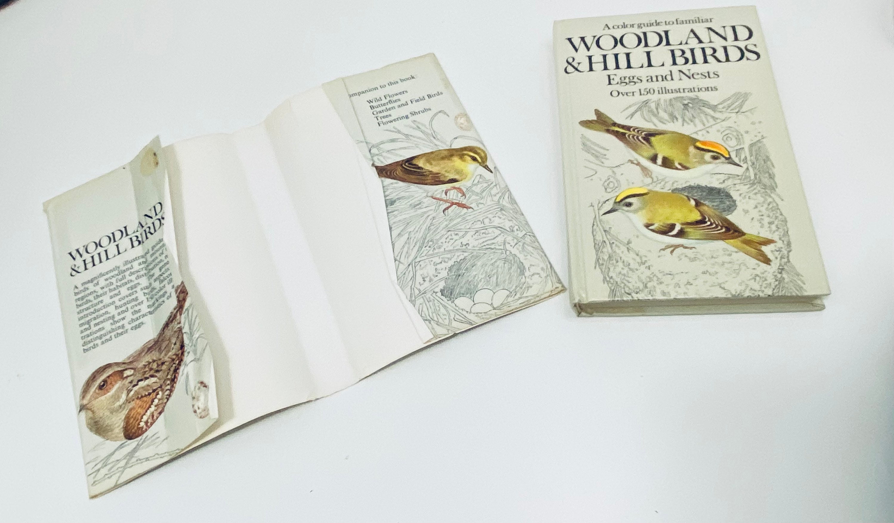 Vintage Bird Spotting Book Vintage Book With Colour Etsy UK